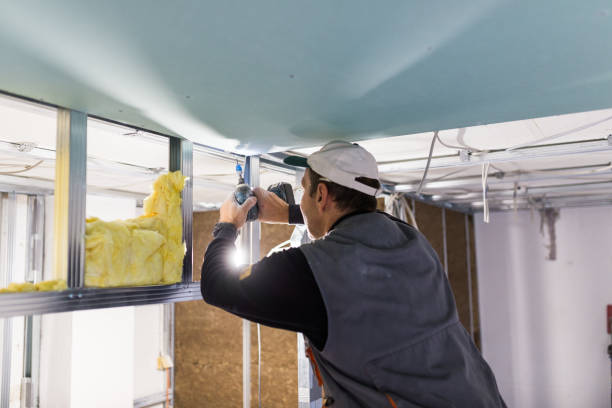 Best Insulation for Specific Applications in Cornelia, GA